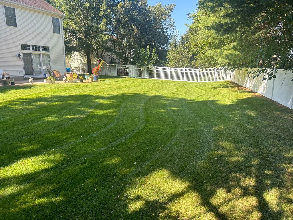 Lawn Maintenance 