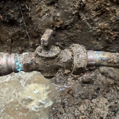 Avatar for Drain King llc