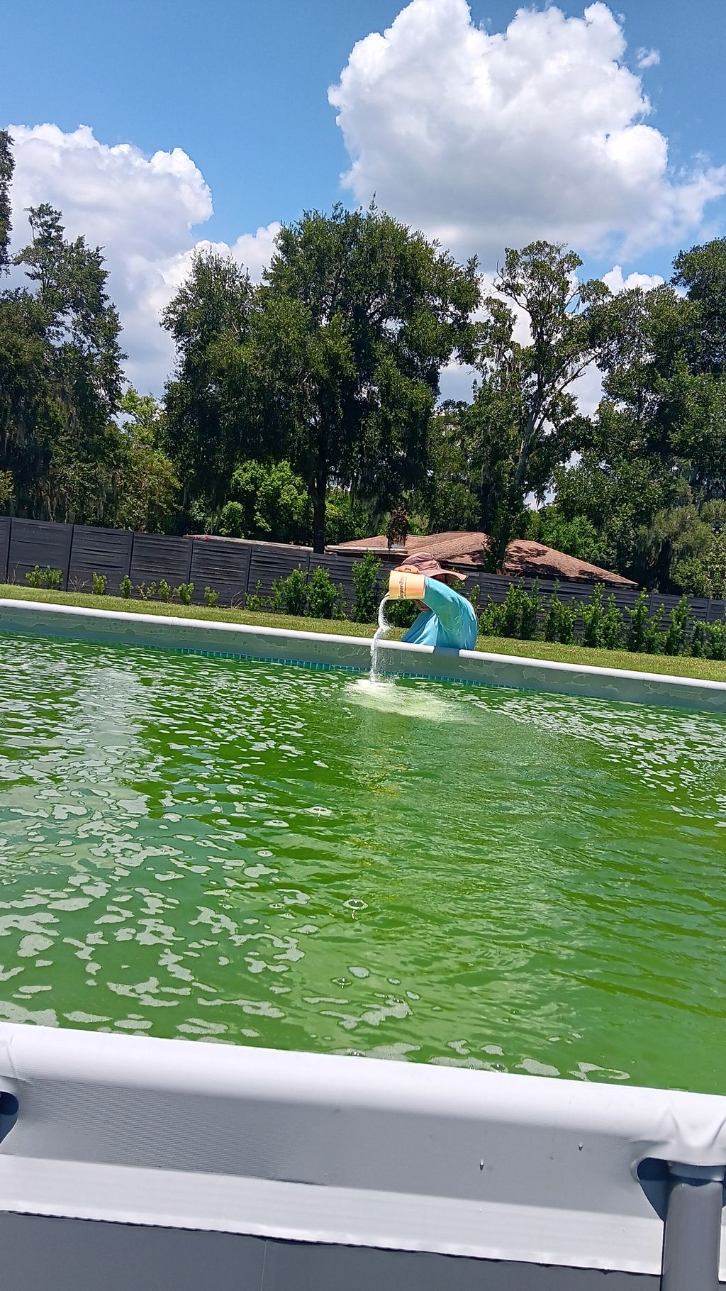 Swimming Pool Cleaning, Maintenance, and Inspection
