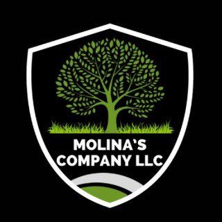 Molina’s Company LLC Profile Picture