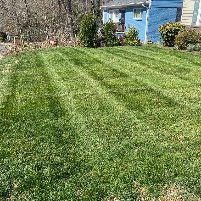TONY LANDSCAPING LLC