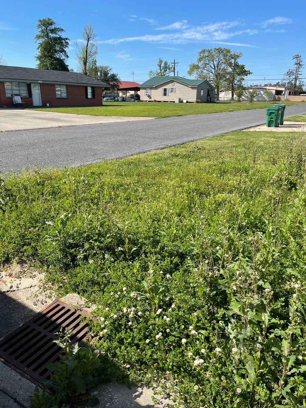 Lawncare Before
