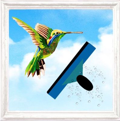Avatar for Little Wonders Window Washing
