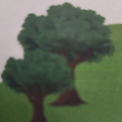 Avatar for we haul tree service