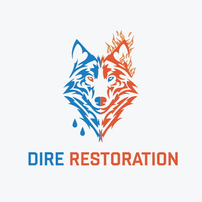 Avatar for Dire Restoration