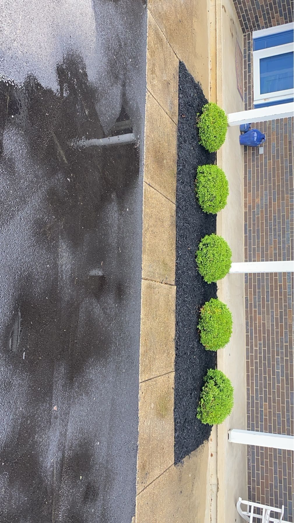 We planted some new bushes and black mulch for a c