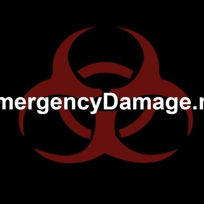 Avatar for EmergencyDamage