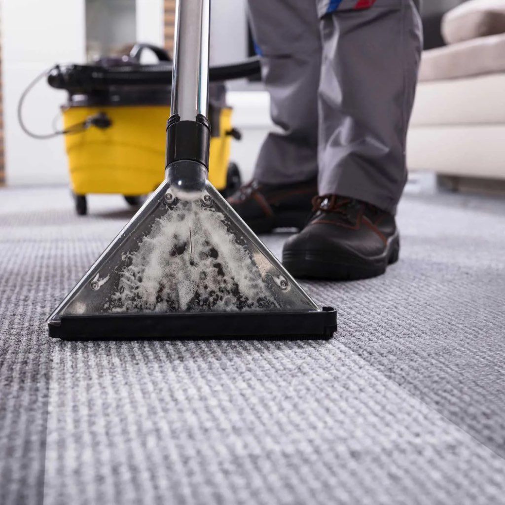 Seattle Carpet & Upholstery Cleaning