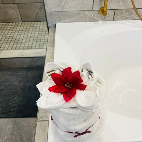 Ana's House Cleaning Services