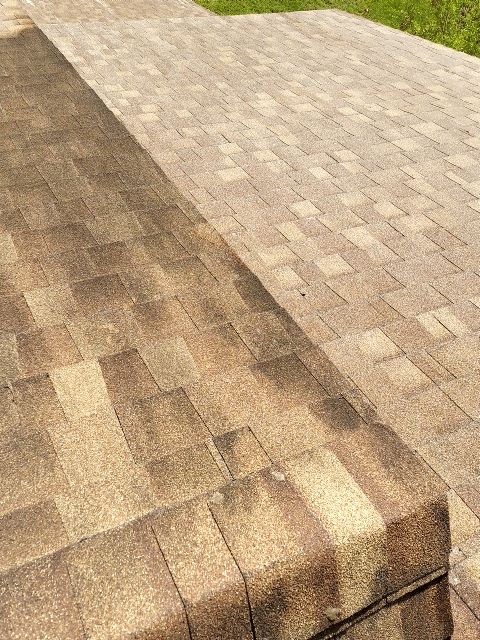 before /after roof washing