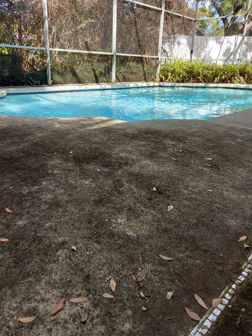 before pool deck cleaning