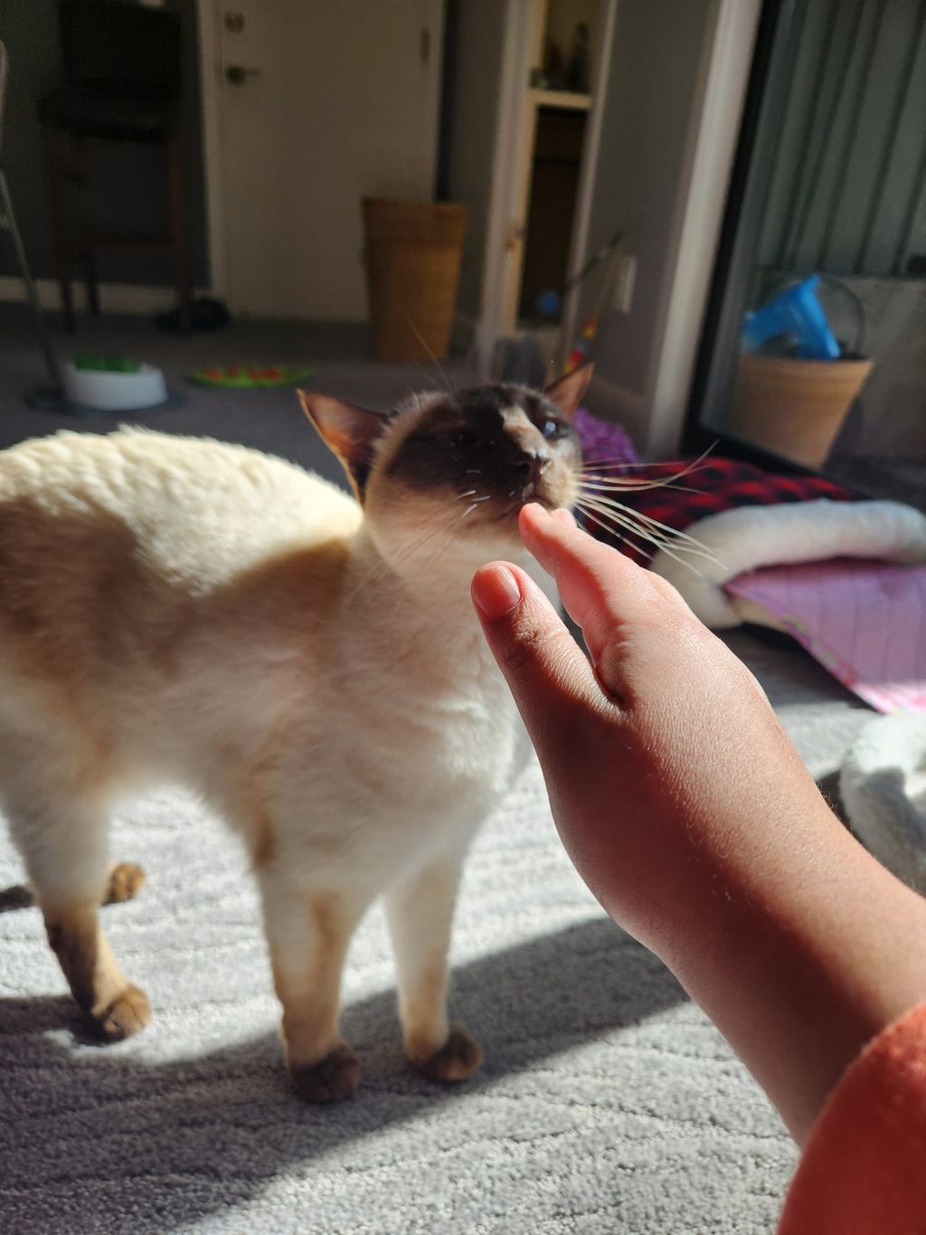 Investigating who this person is hahaha