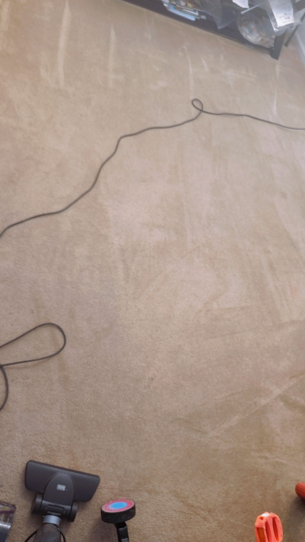 carpet clean 