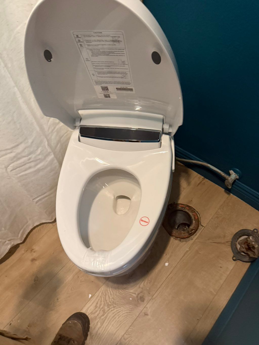 Smart toilet 