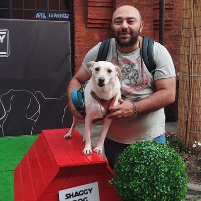 Avatar for David Dogwalker