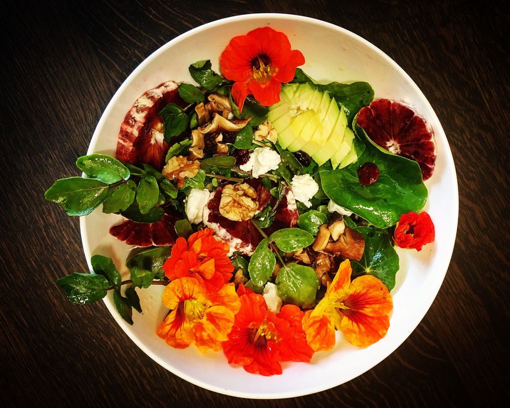 Wild Watercress Salad with Avocado, Blood Orange a