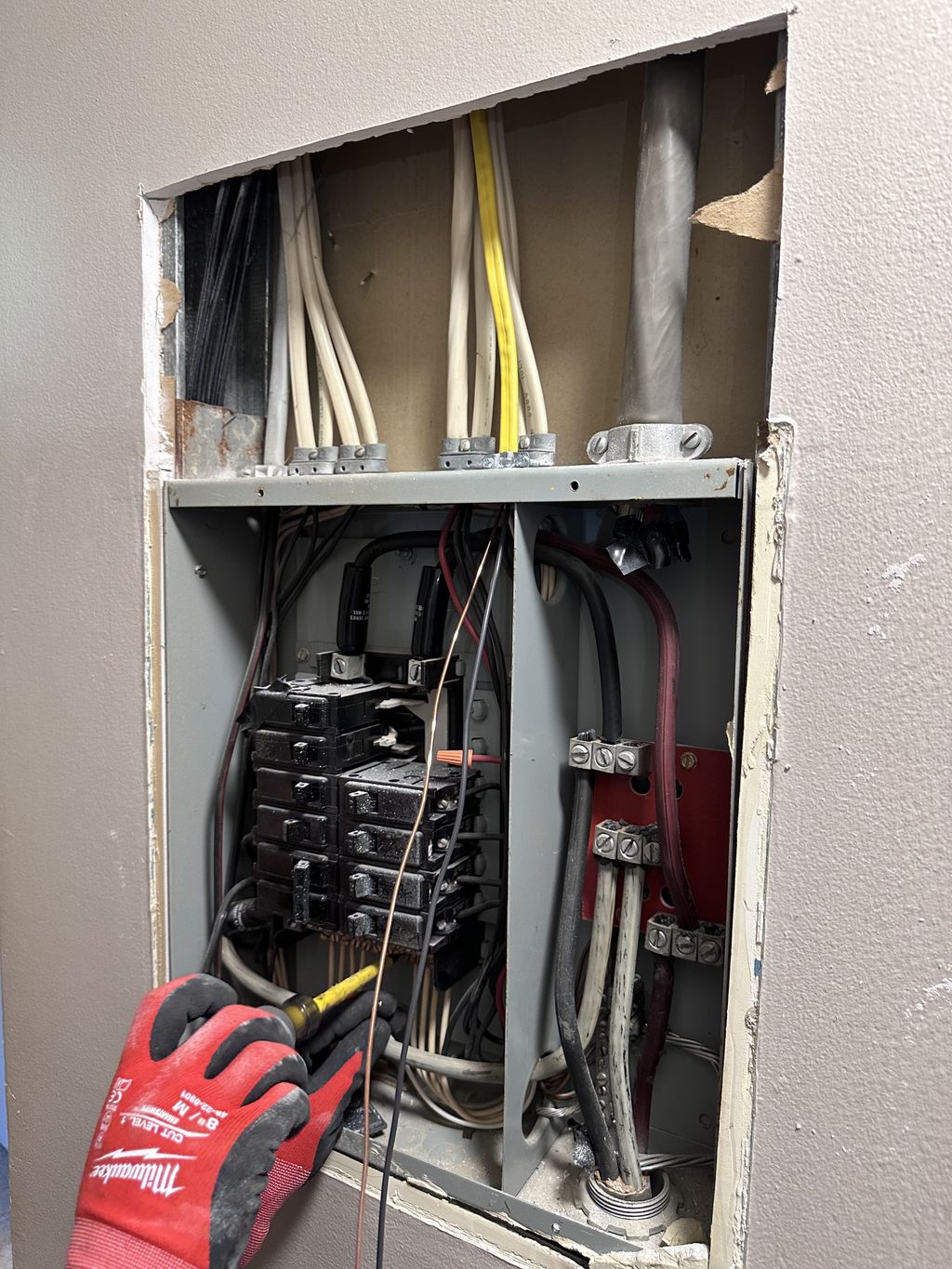Projects and media