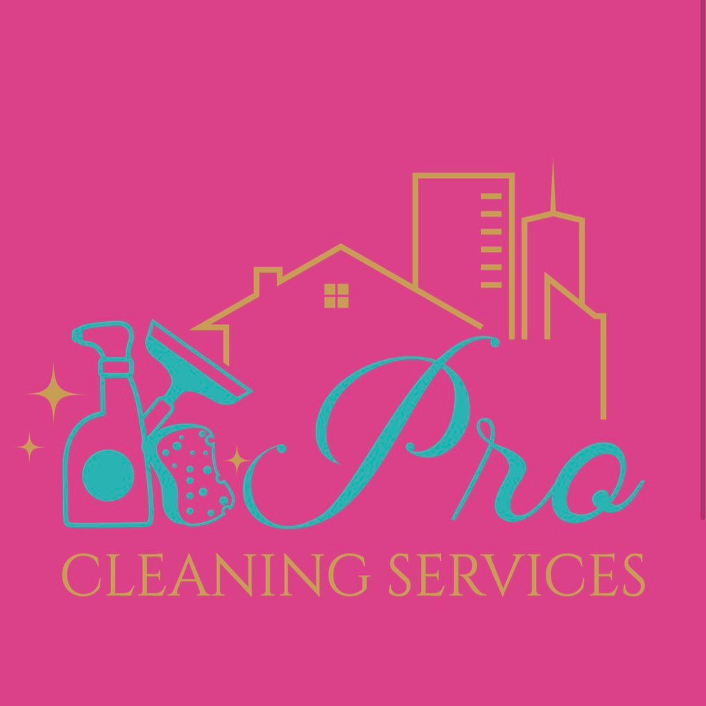 PRO cleaning services