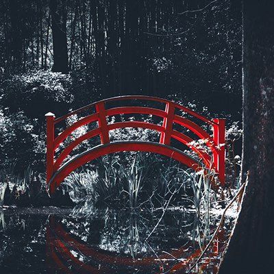 Avatar for C.Tucker