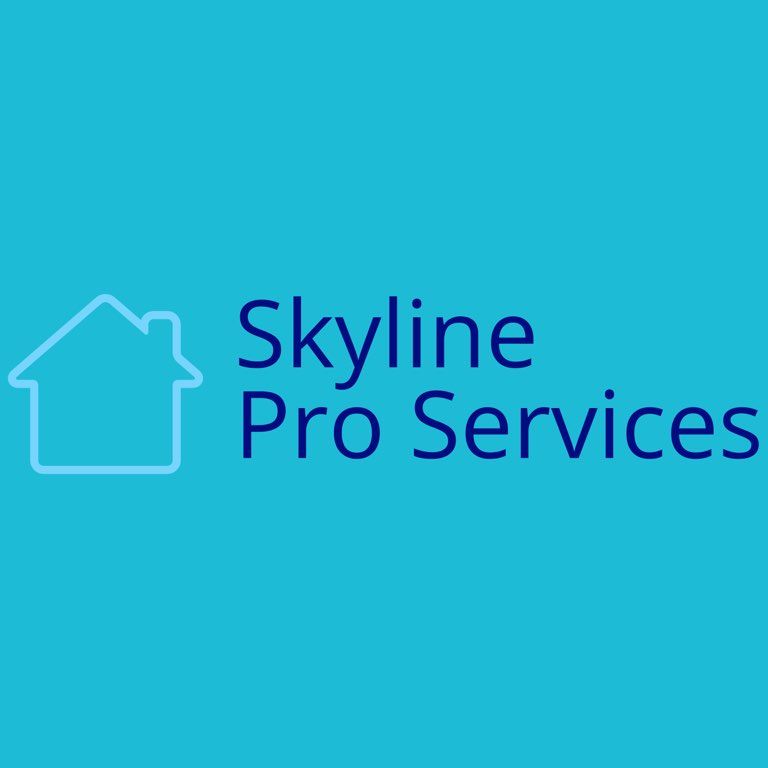 Skyline Pro Service