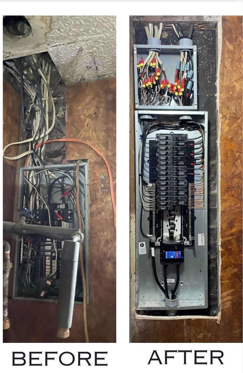 Projects and media