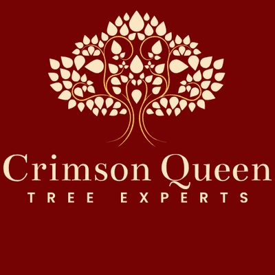 Avatar for Crimson Queen Tree Experts