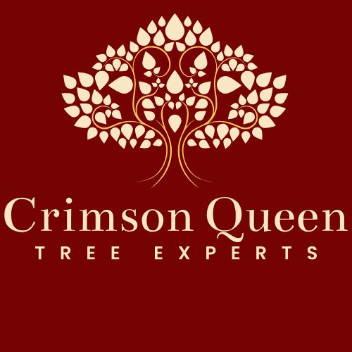 Crimson Queen Tree Experts