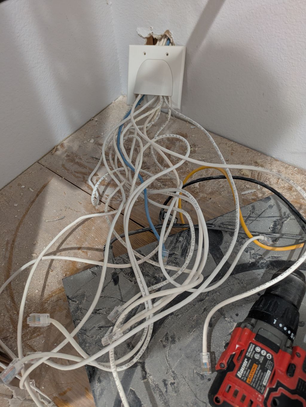 Projects and media