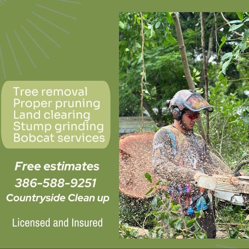 Countryside Clean up LLC Profile Picture
