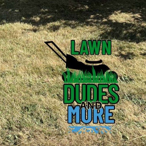 Lawn Dudes & More