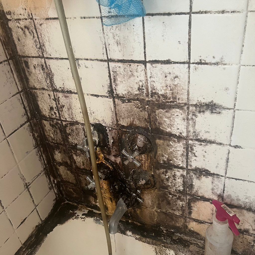 Frederic Cleaner Services