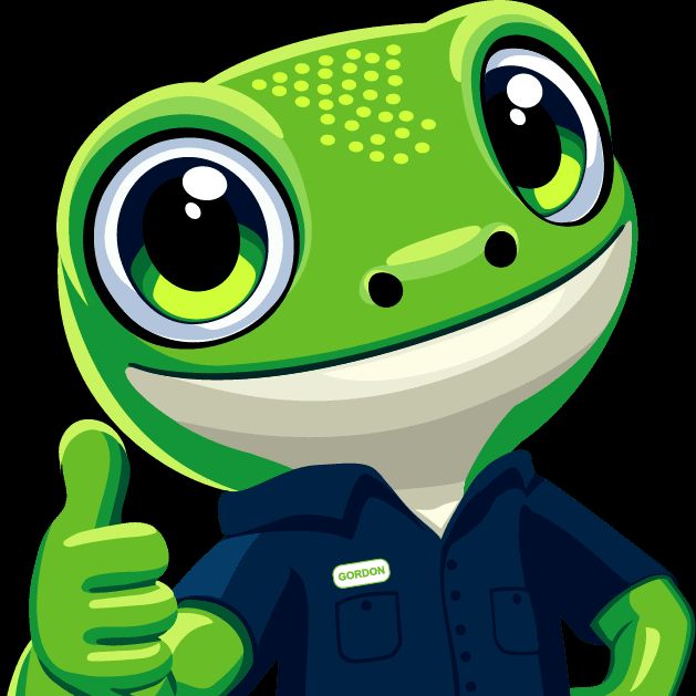 Gecko Green Pest Solutions