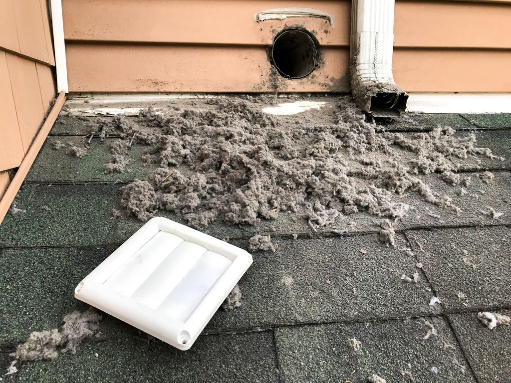 Typical Lint from Dryer