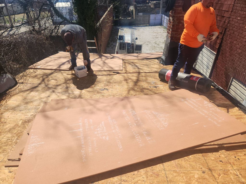Projects and media