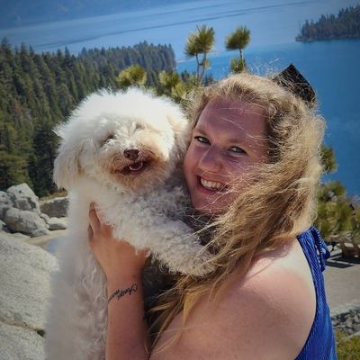 Avatar for Kristi's PAWfection