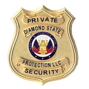 Avatar for Diamond State Protection LLC