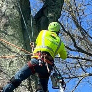 Heaven to Earth Tree Service & Landscaping