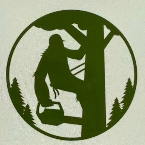 Tree service experts BN LLC