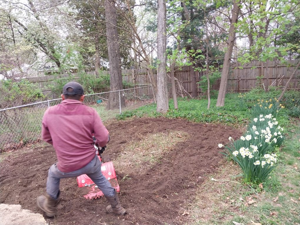 Vegetables garden