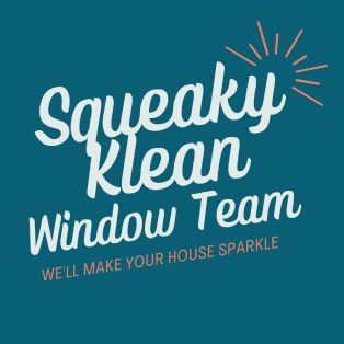 Squeaky klean window team