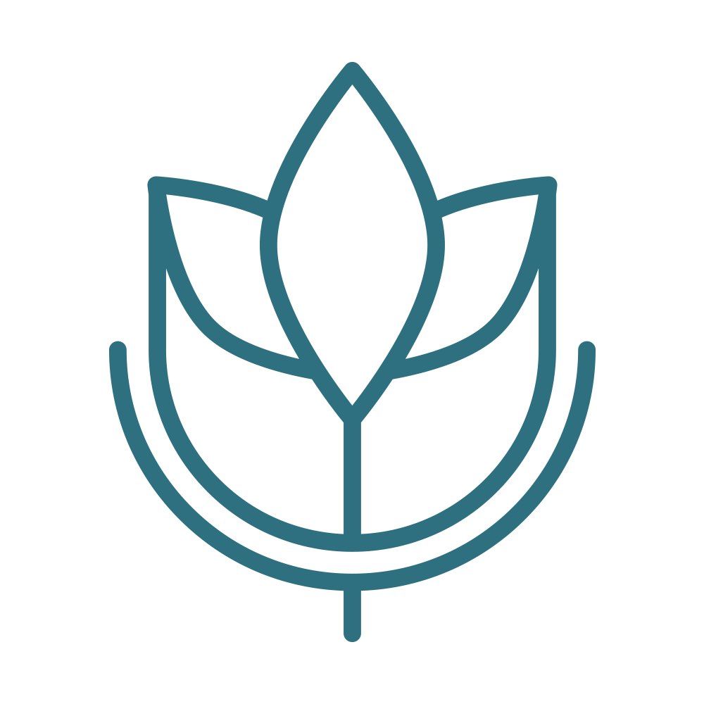 Terra Vista Landscaping