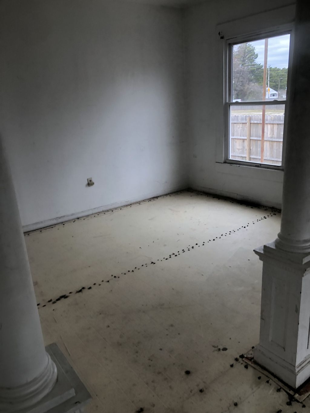 Stripping of carpet + removal of junk aftermath