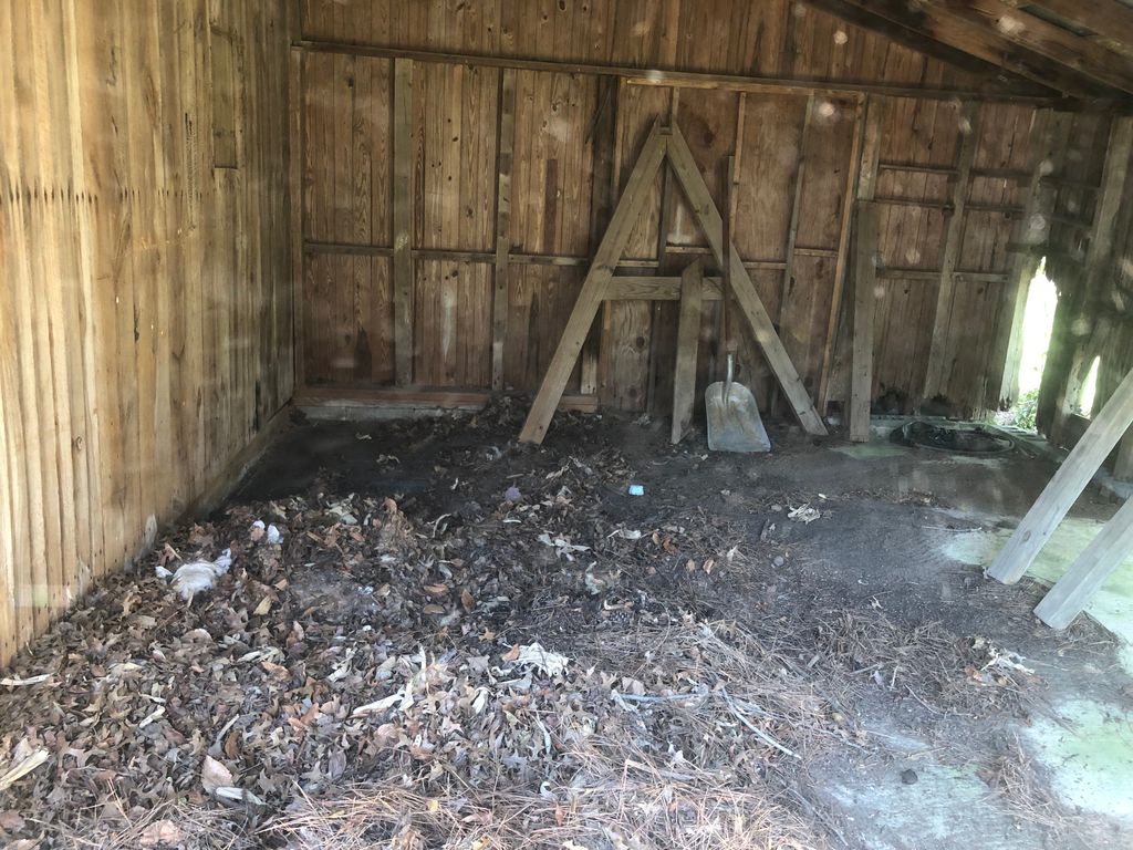 Barn clean up 