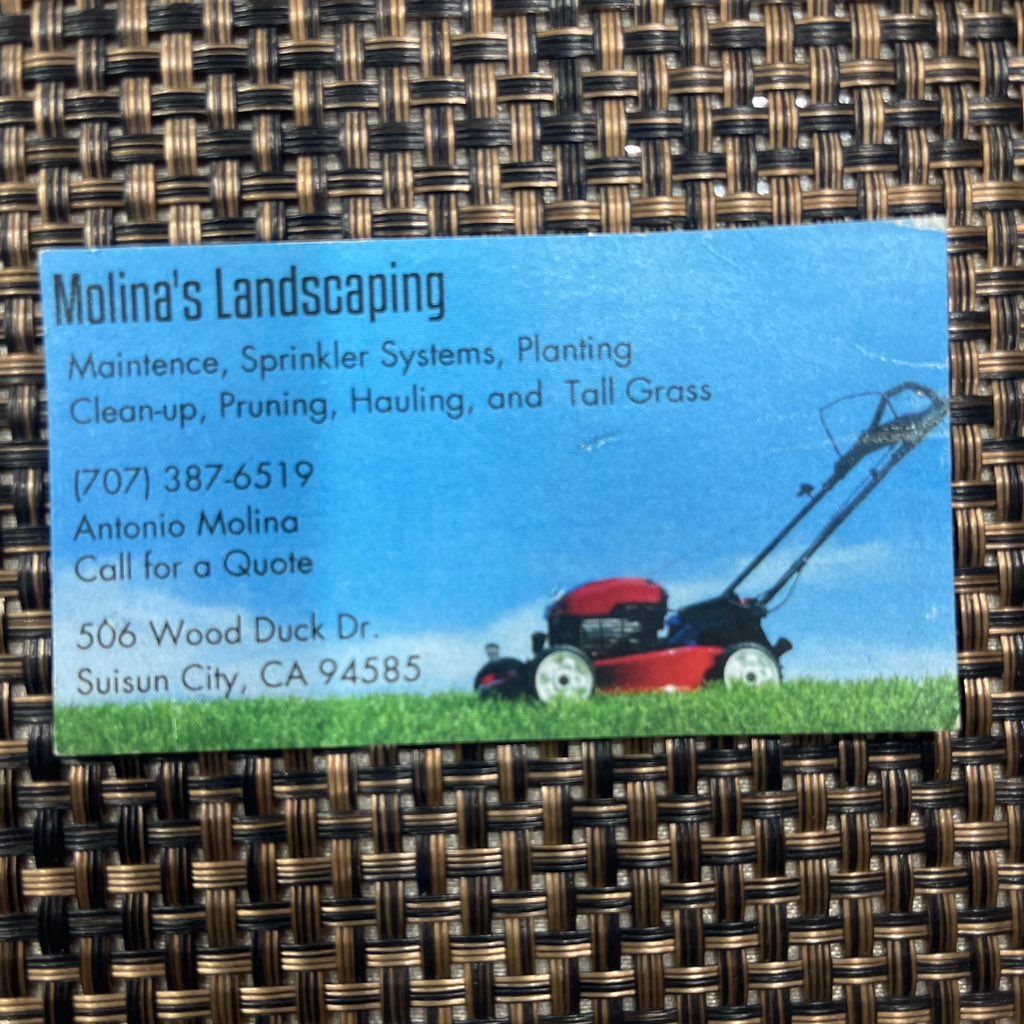 Molina's Landscaping