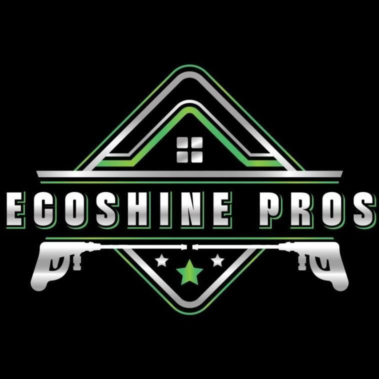 EcoShinePros LLC