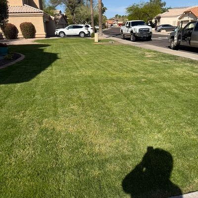 Avatar for Mauro Landscaping Services