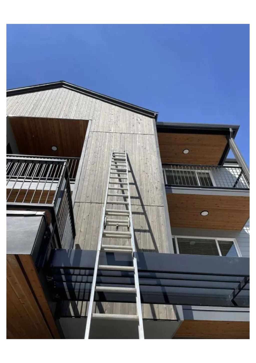 Cedar Tongue and Groove Siding 