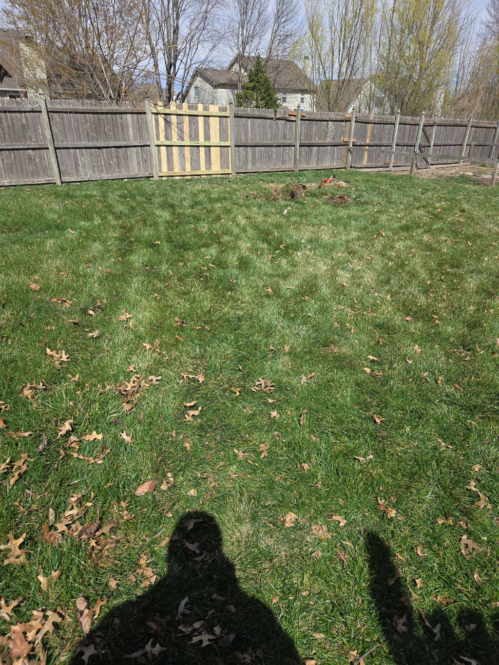 Cut up and removed the tree and repaired the fence