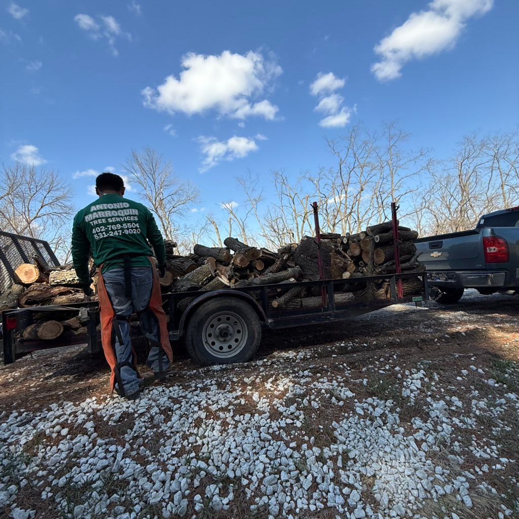 Antonio Marroquín Tree Service