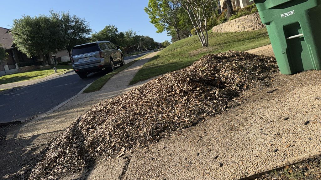 Leaves... a lot of leaves! Good clean up